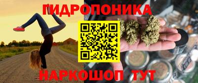ALPHA PVP Будённовск