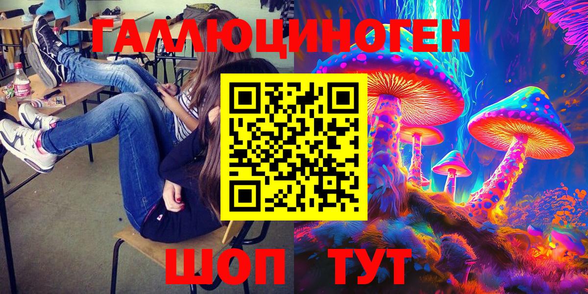Галлюциногенные грибы Psilocybe Ставрополь