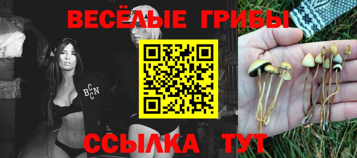 Ставрополь  Галлюциногенные грибы ЛСД  Вход с VPN 
