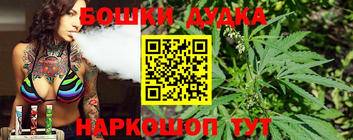 Каннабис план Ставрополь